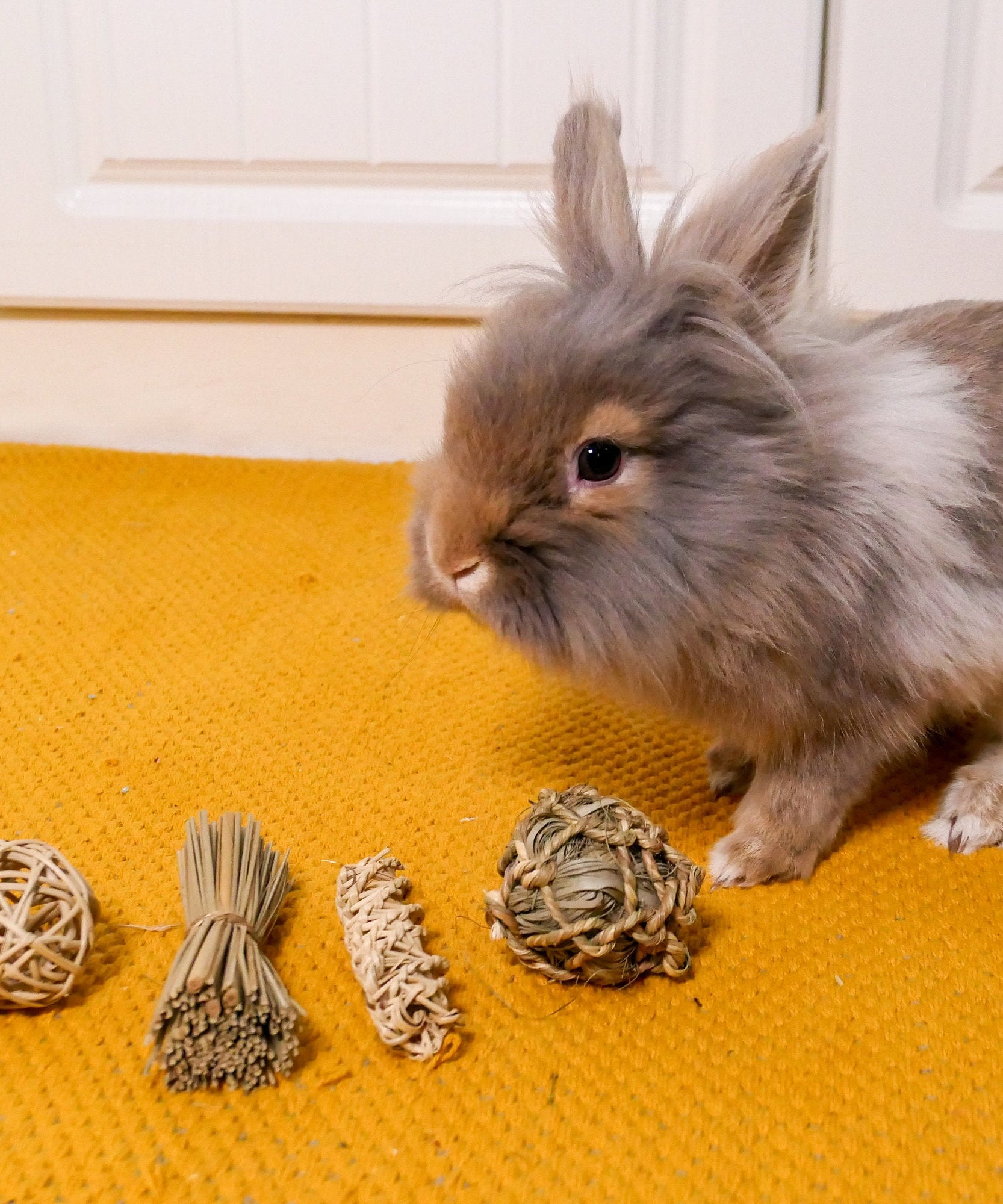 Bamboo Small Ball Chew Toy