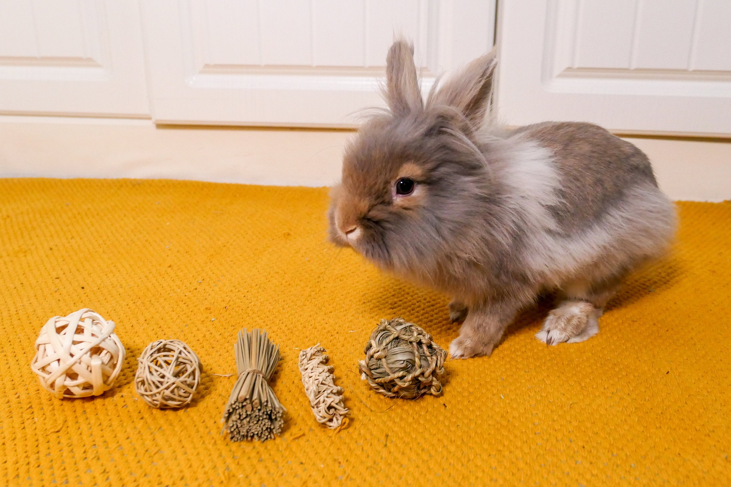 Bamboo Small Ball Chew Toy