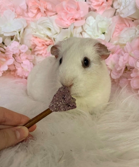 Heart Pops Treat Bag