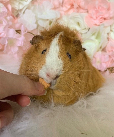 Mini Hearts Treat Bag