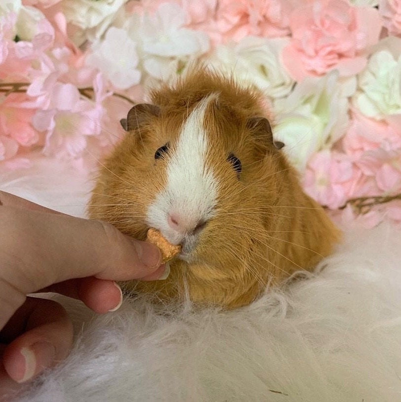 Mini Hearts Treat Bag