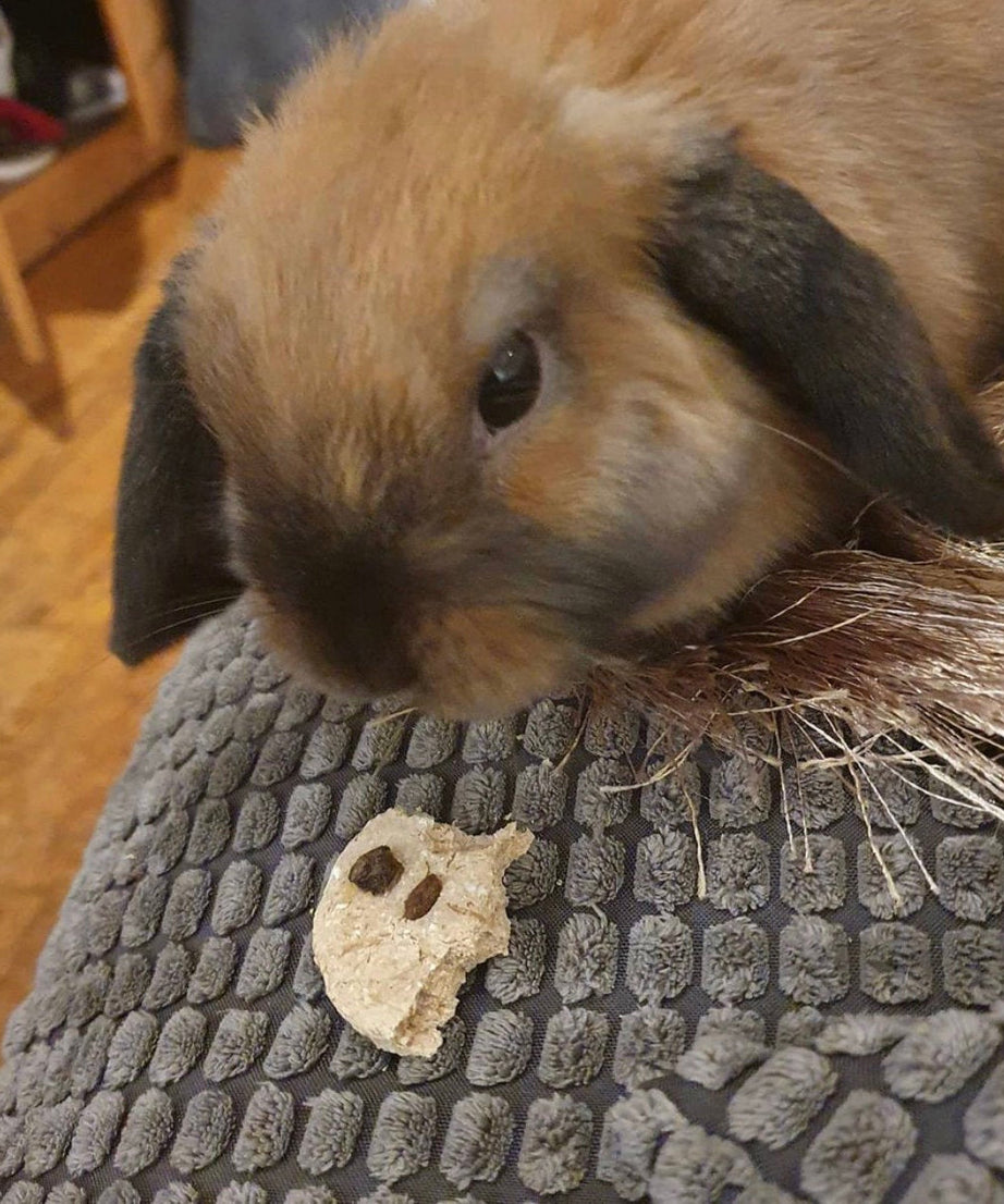 Chunky Choc Chip Cookies Treat Bag