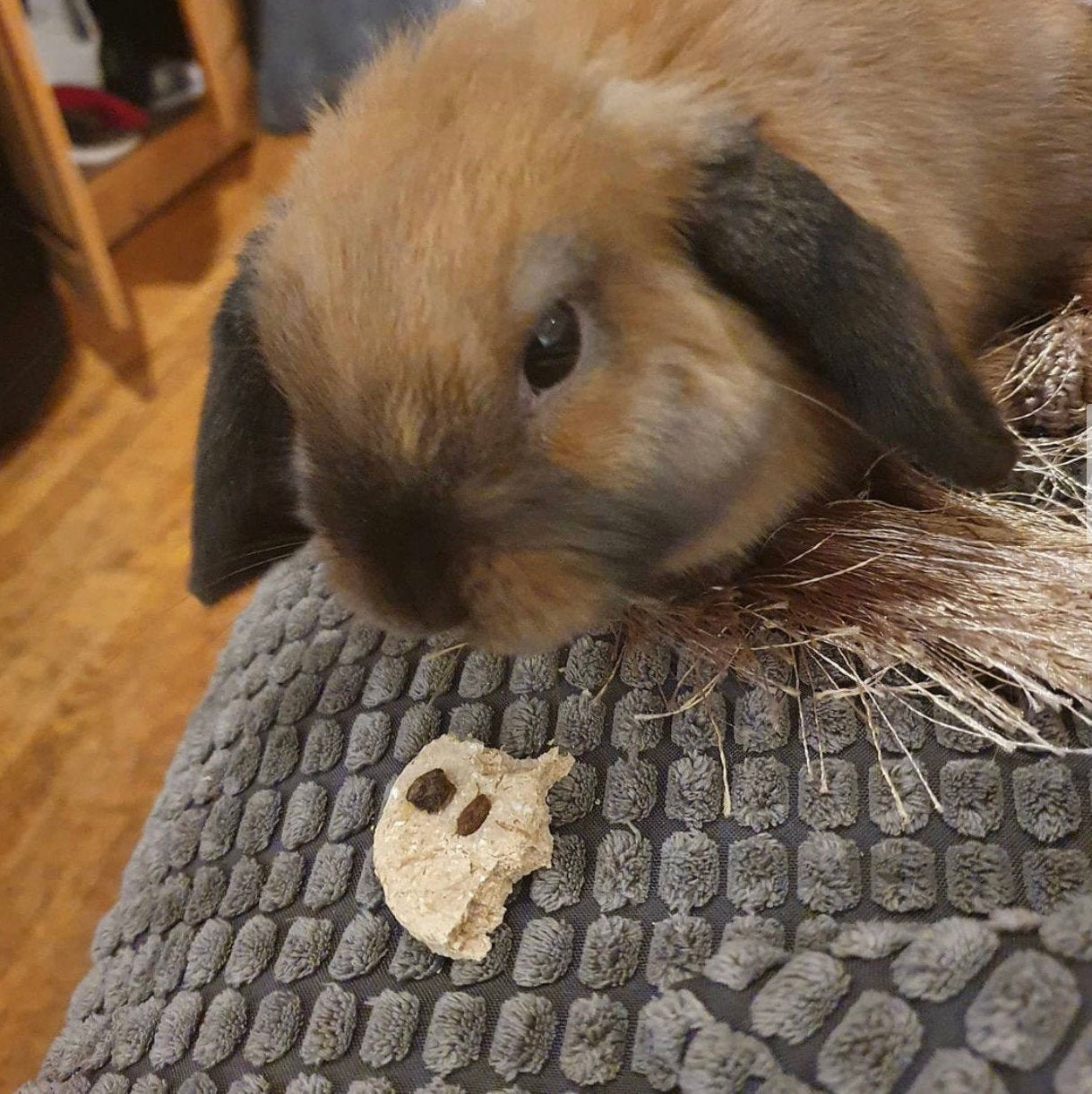 Chunky Choc Chip Cookies Treat Bag
