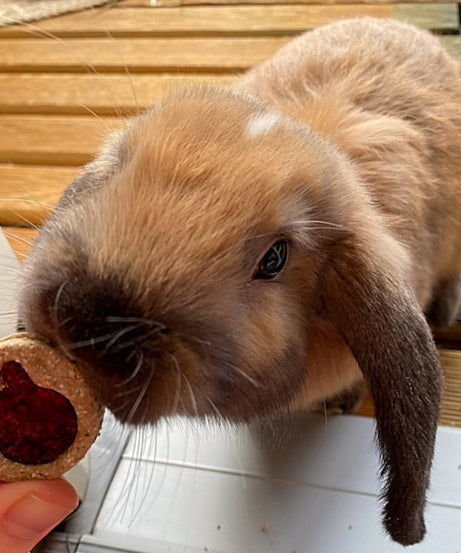 Jam Sandwich Cookies Treat Bag