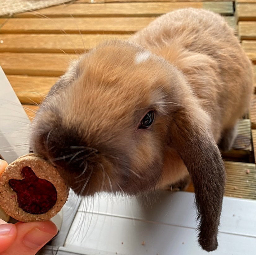 Jam Sandwich Cookies Treat Bag