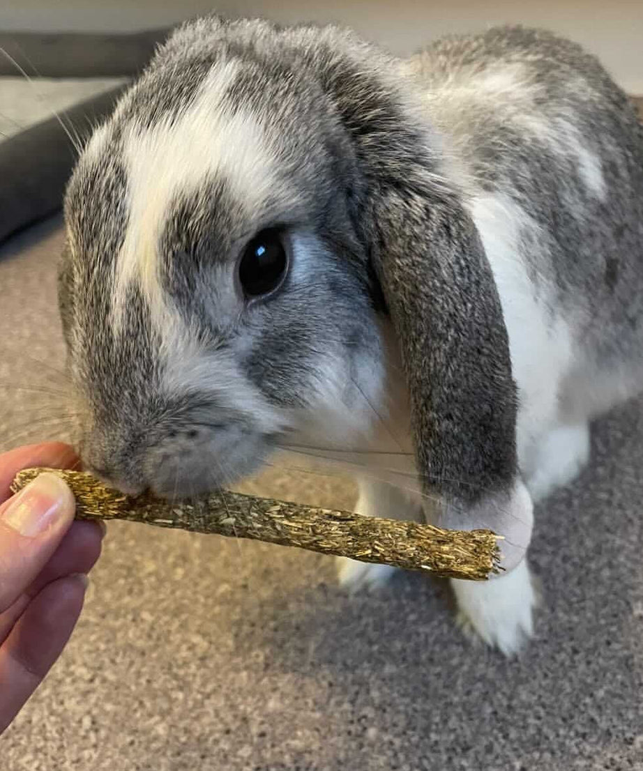 Fibre Sticks Treat Bag