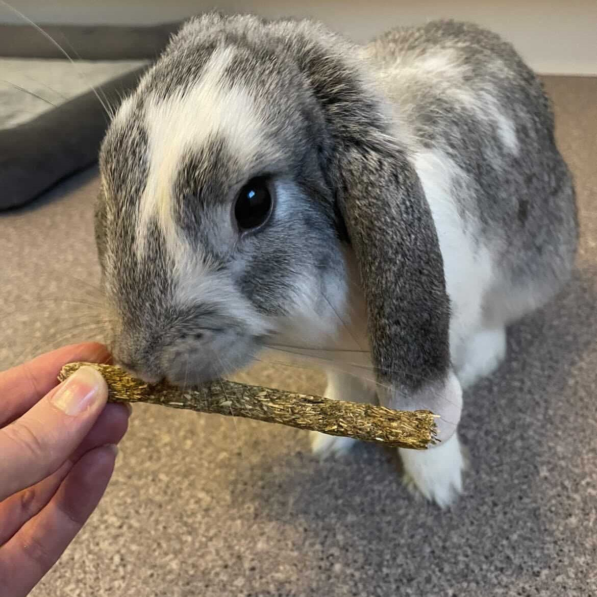 Fibre Sticks Treat Bag