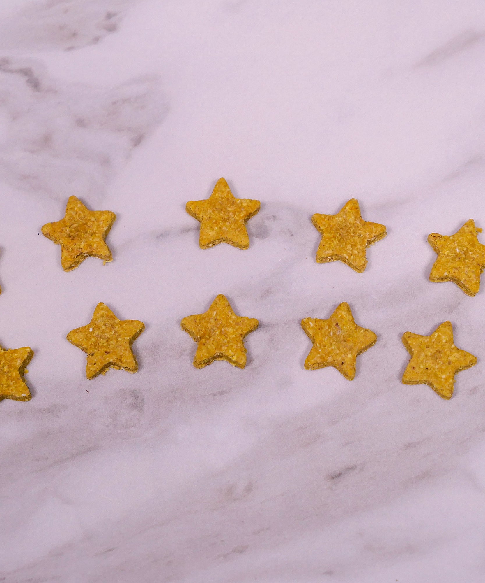 Mini Treat Bag Bundle Box