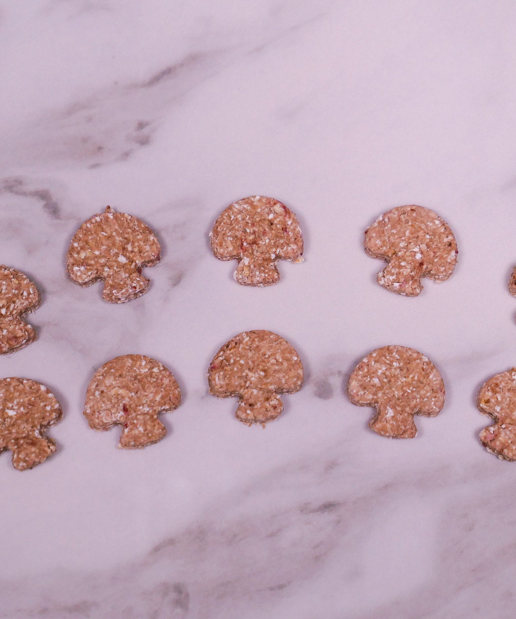 Mini Treat Bag Bundle Box