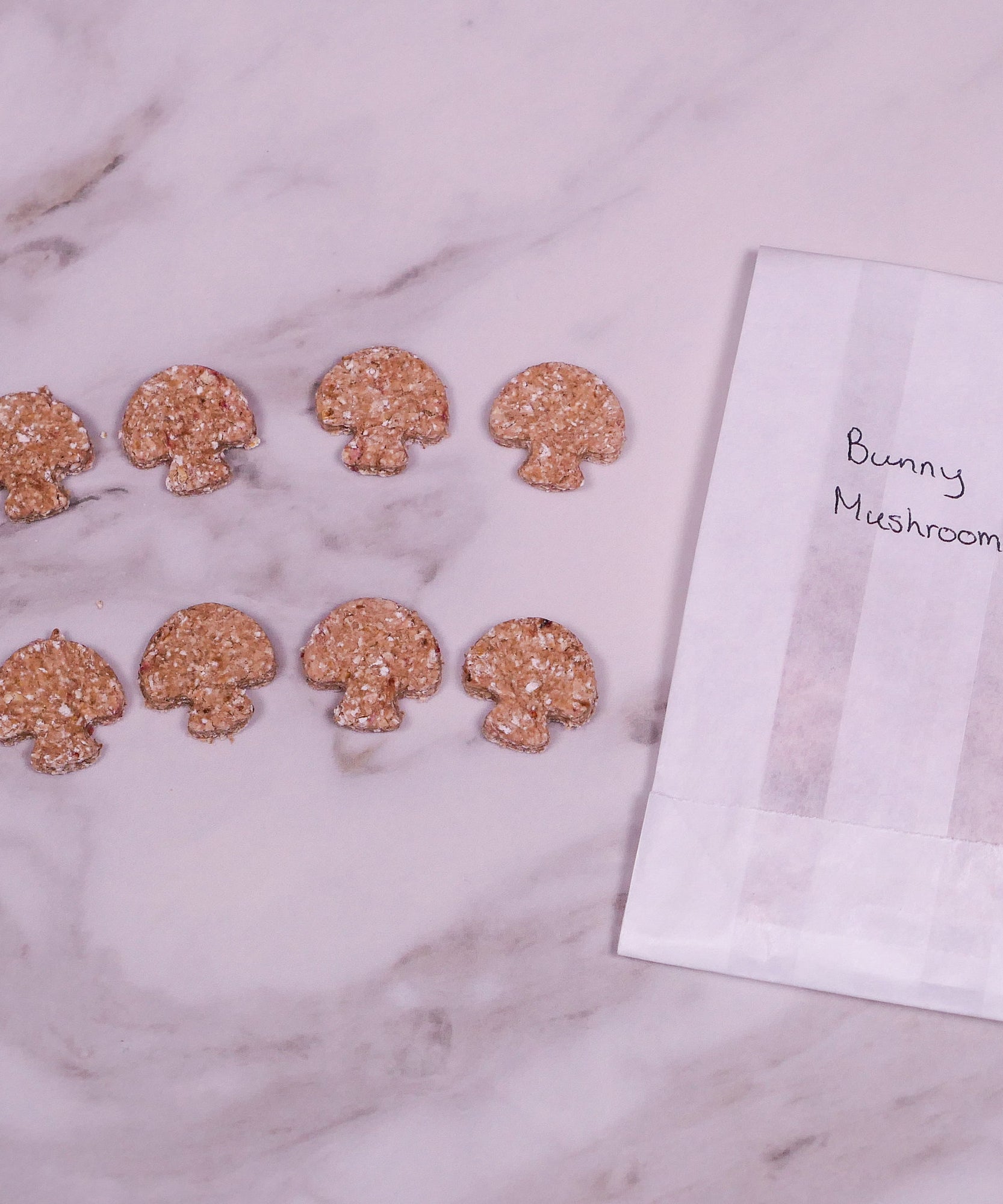 Mini Treat Bag Bundle Box