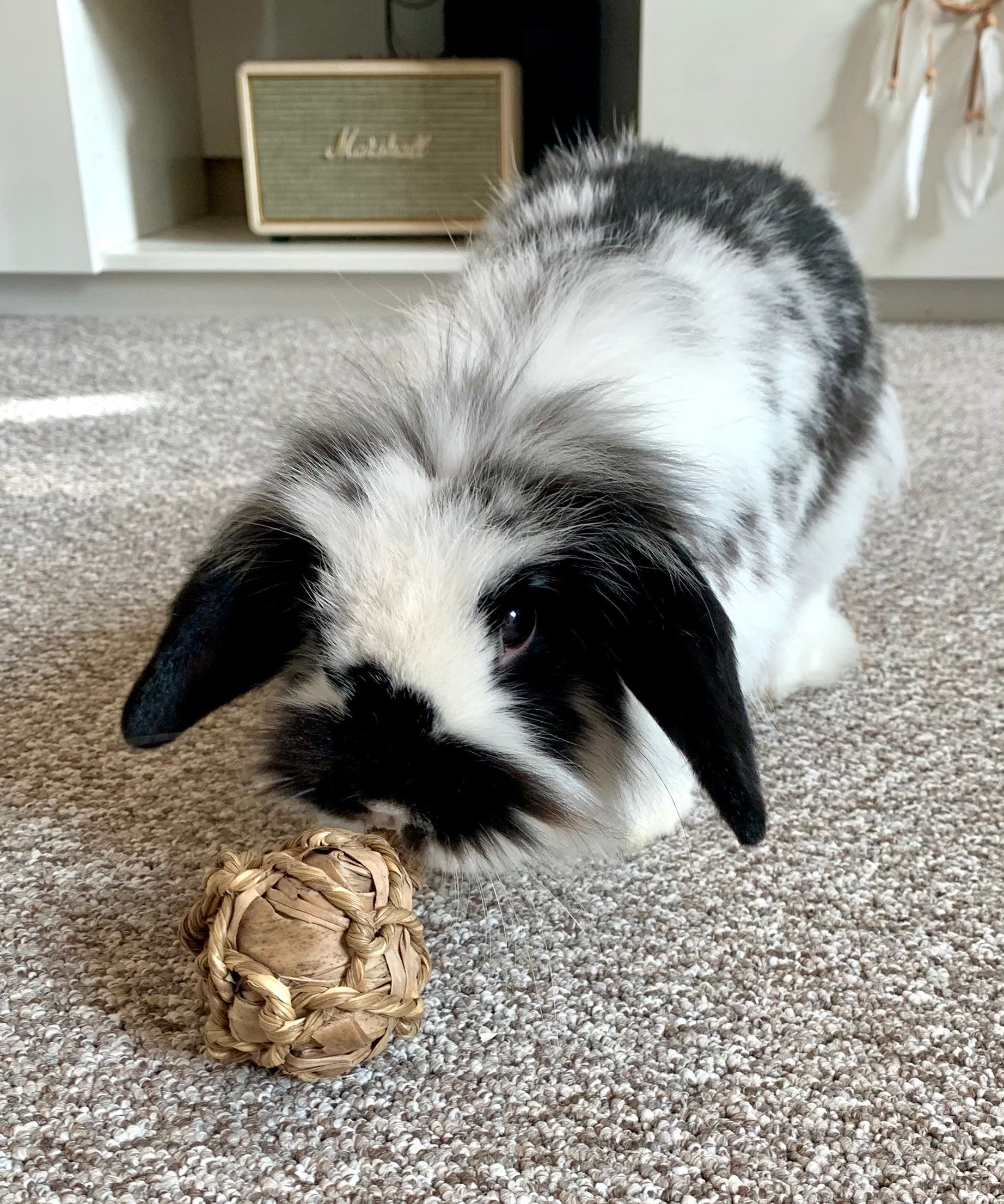 Banana Leaf Seagrass Ball Chew Toy