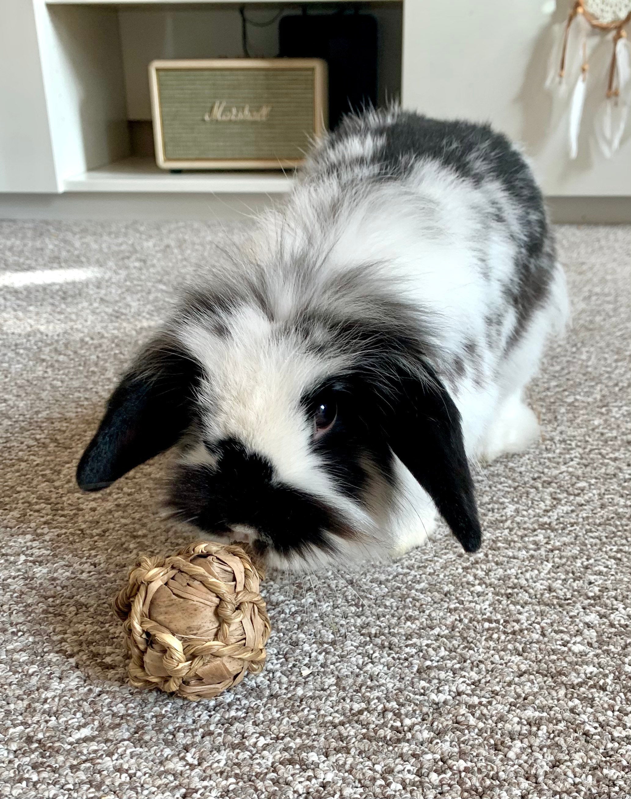 Banana Leaf Seagrass Ball Chew Toy