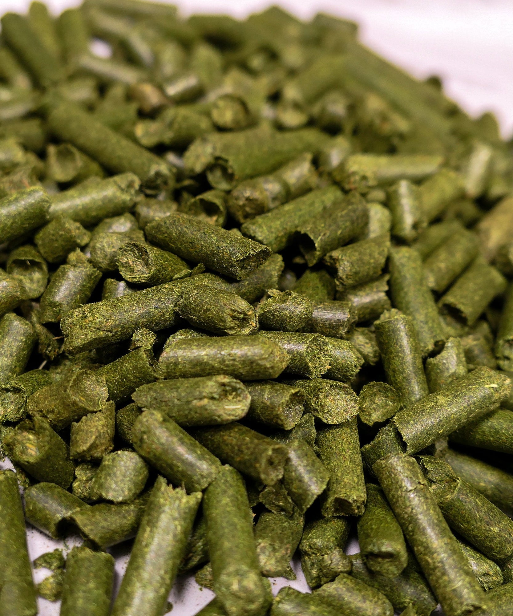 Hay Pellets 200g Forage Bag