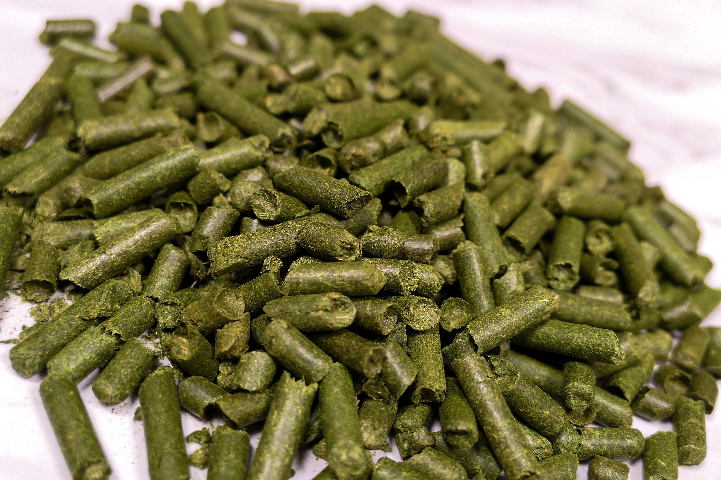 Hay Pellets 200g Forage Bag