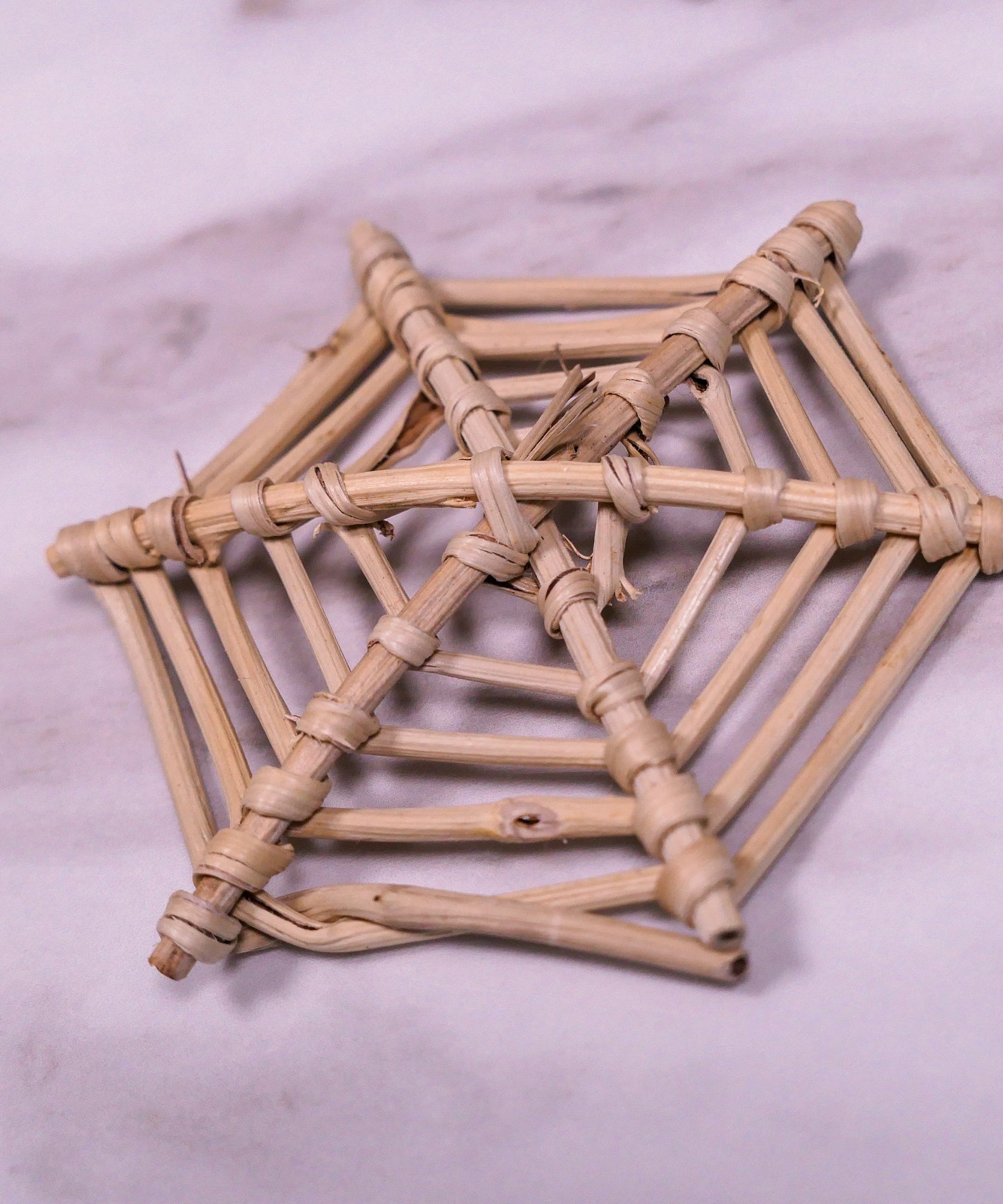 Large Spider Web Vine Chew Toy