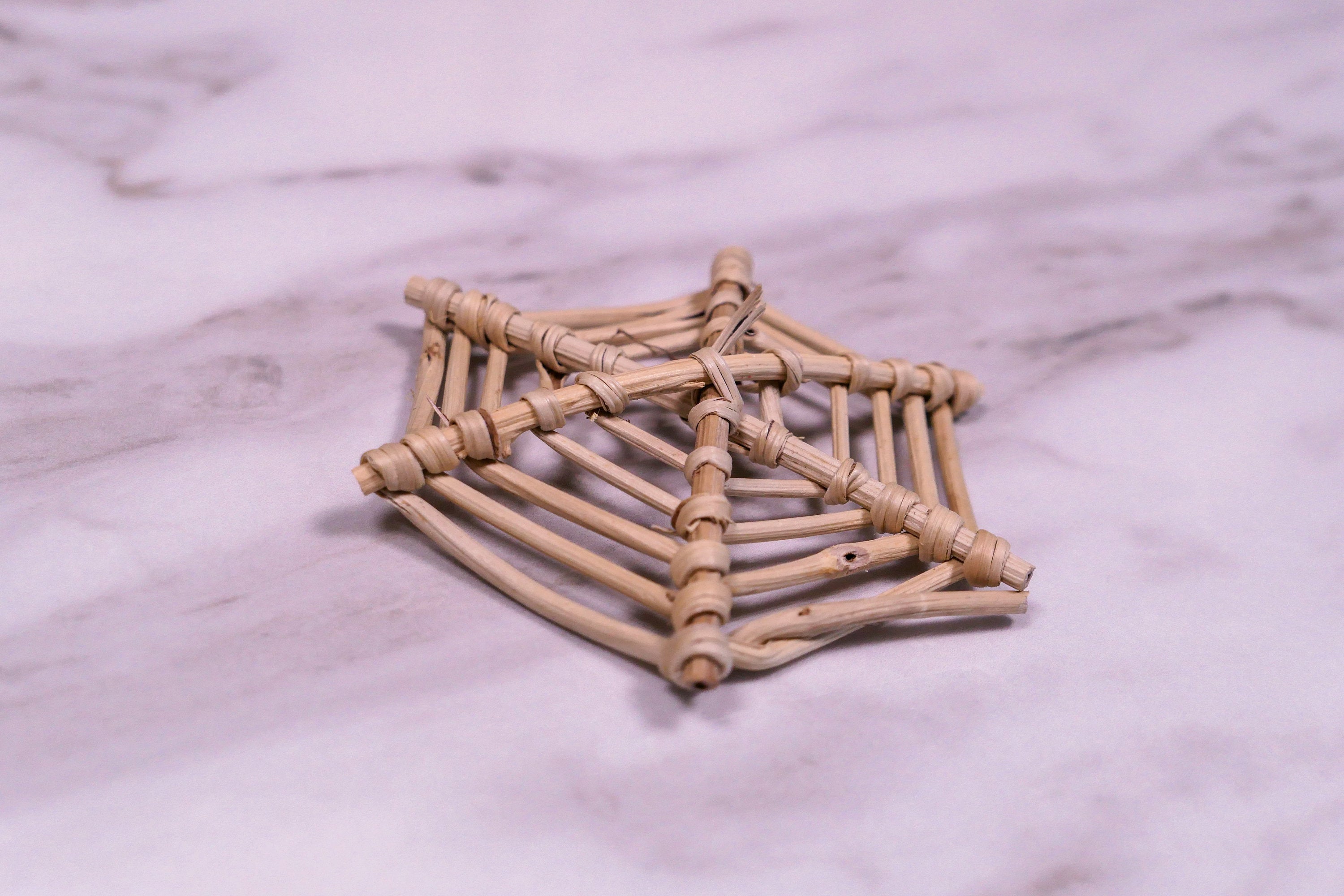 Large Spider Web Vine Chew Toy