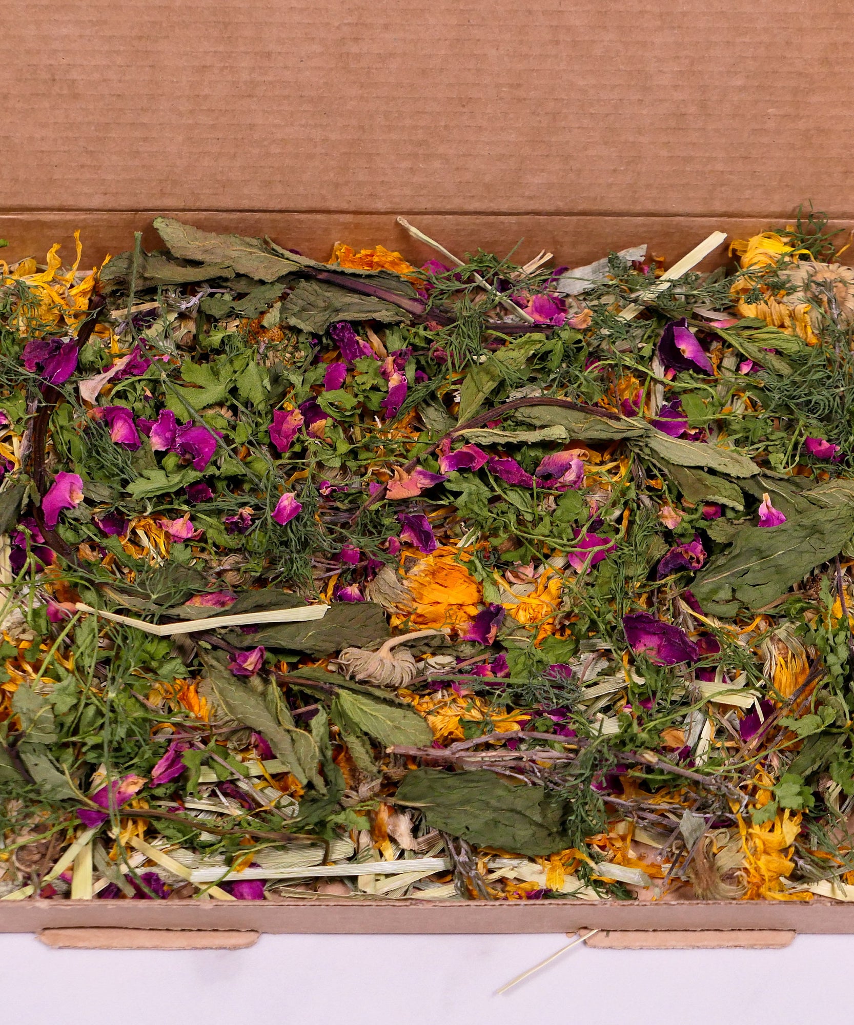 Herb Garden Forage Box
