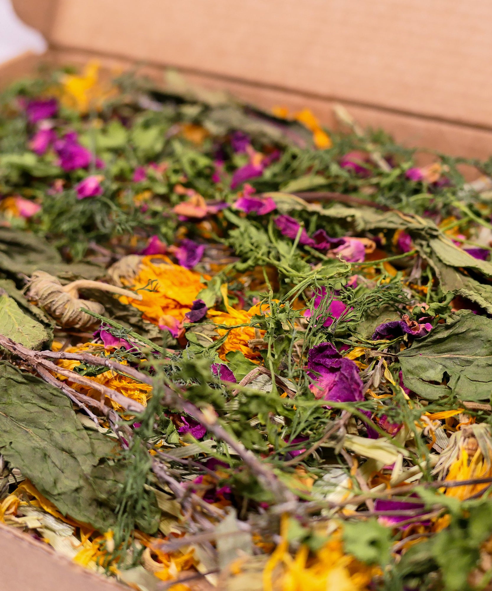 Herb Garden Forage Box