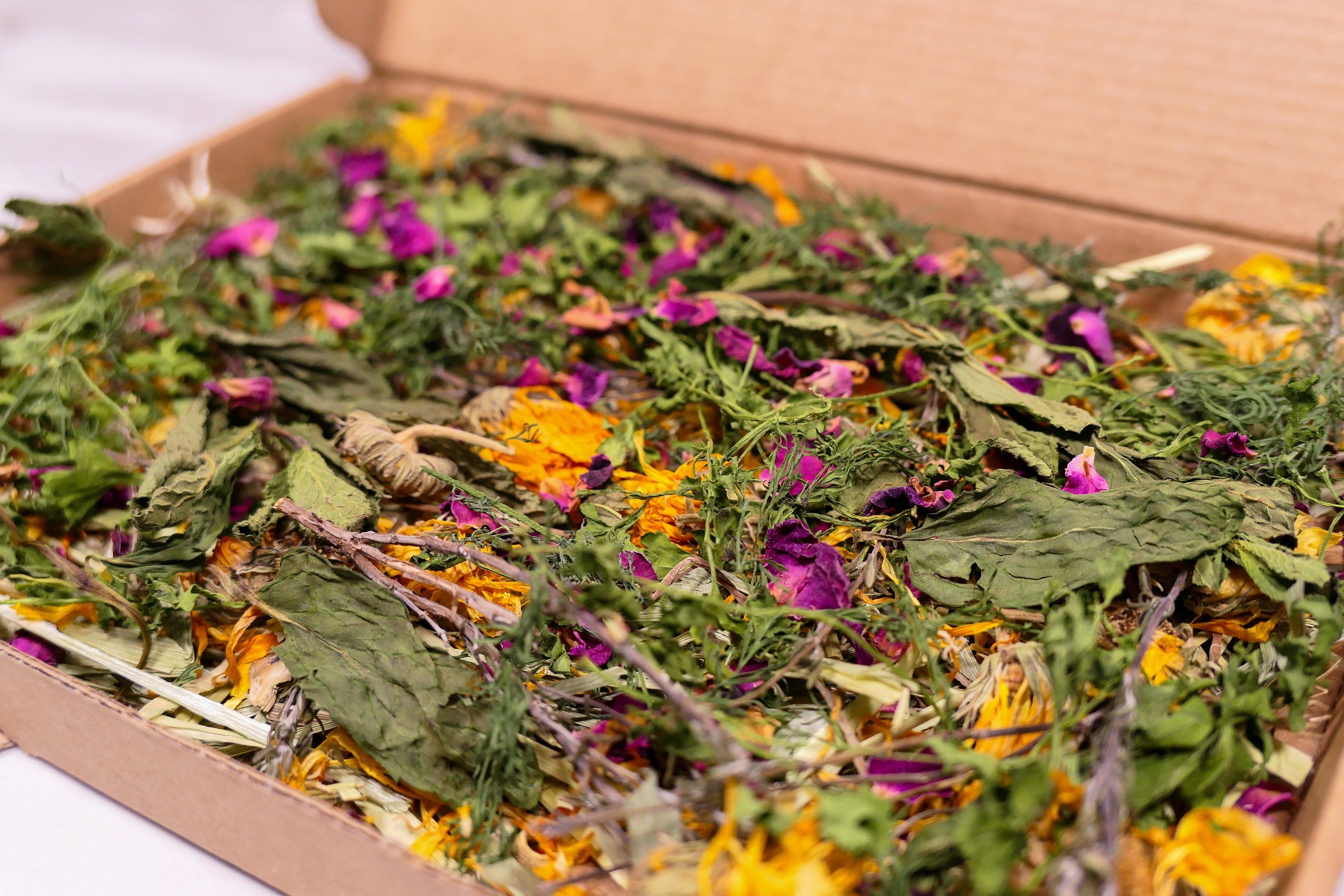 Herb Garden Forage Box