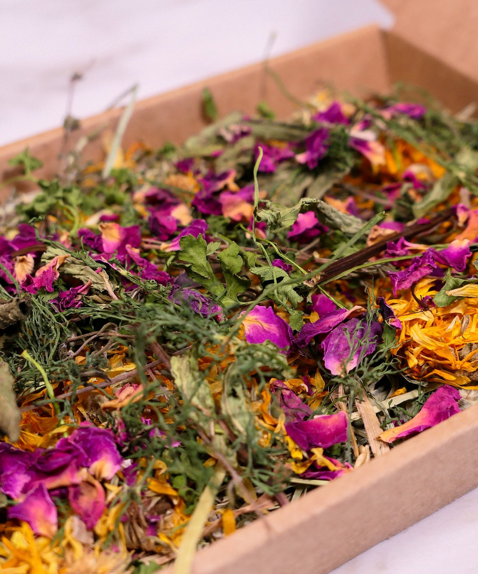 Herb Garden Mini Forage Box