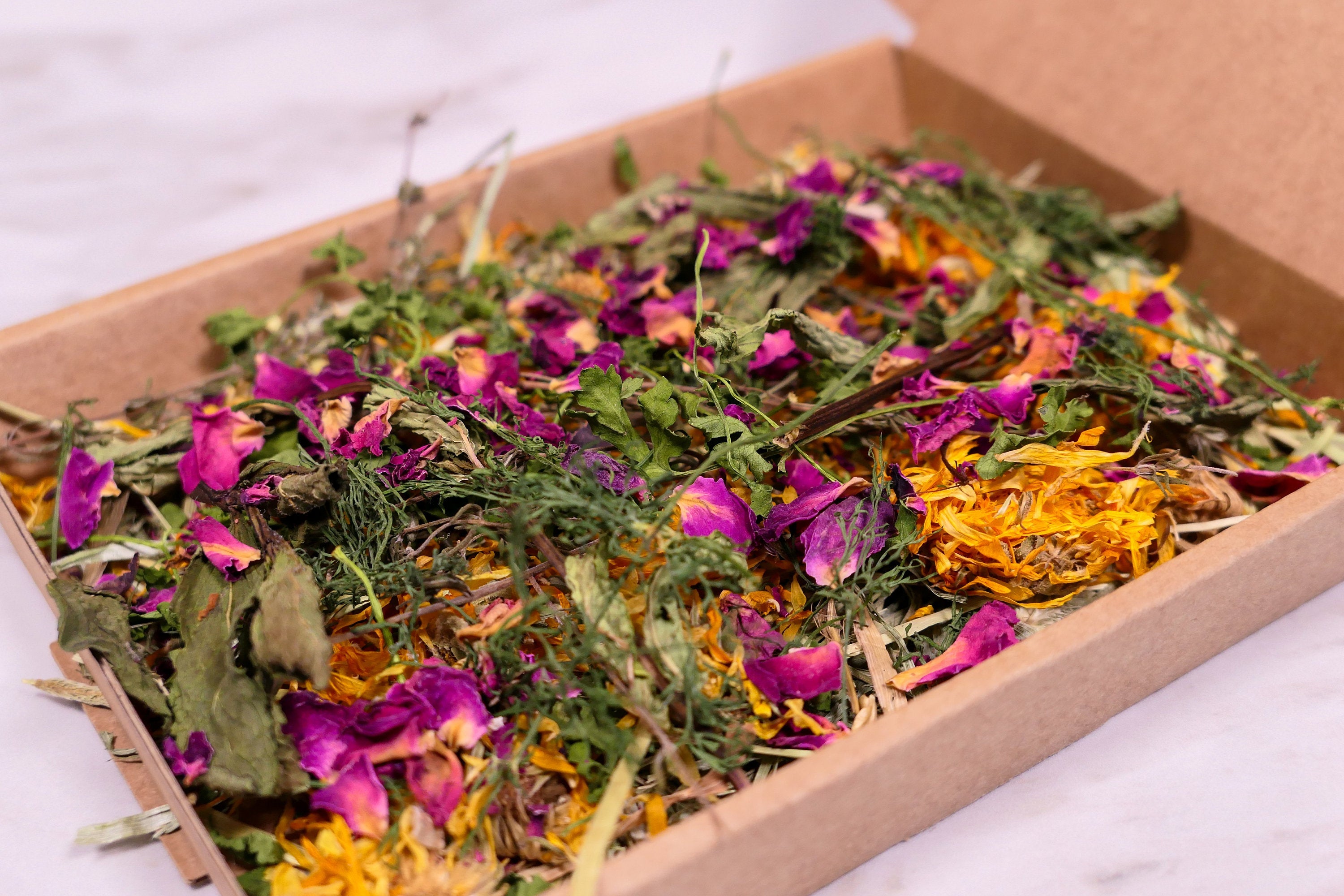 Herb Garden Mini Forage Box