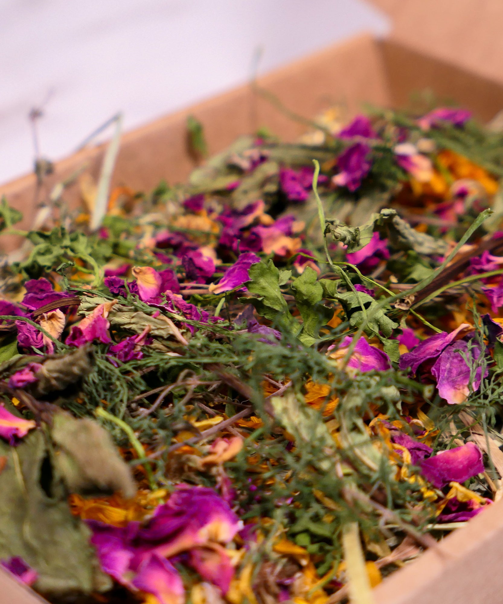 Herb Garden Mini Forage Box