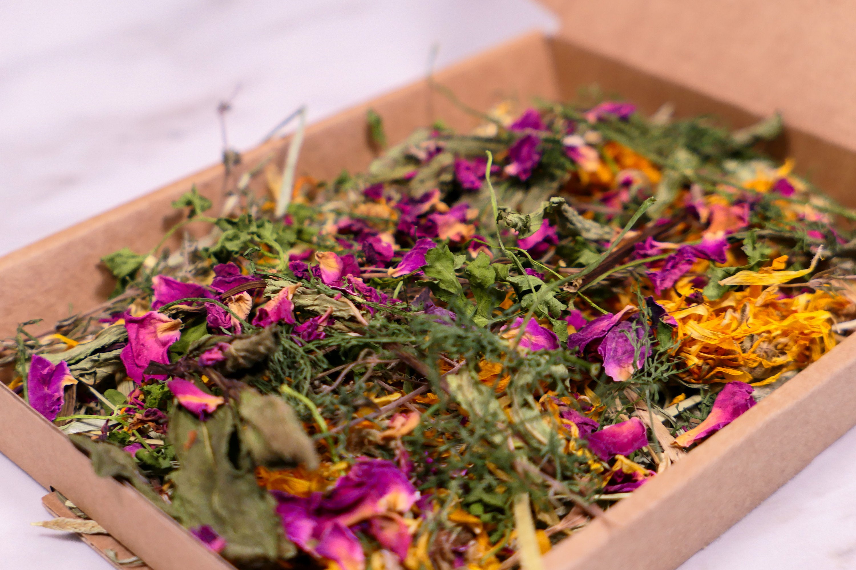 Herb Garden Mini Forage Box