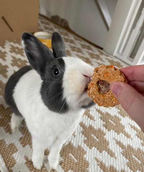 Jammie Dodgers Treat Bag