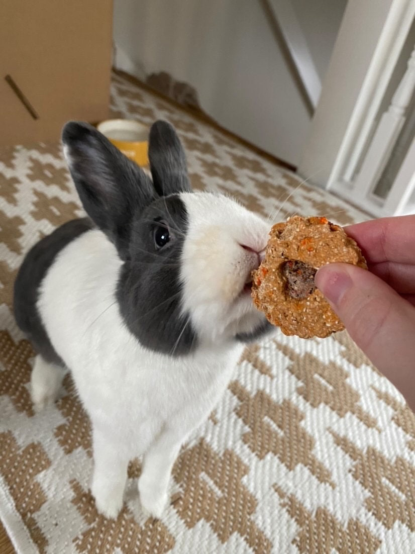 Jammie Dodgers Treat Bag