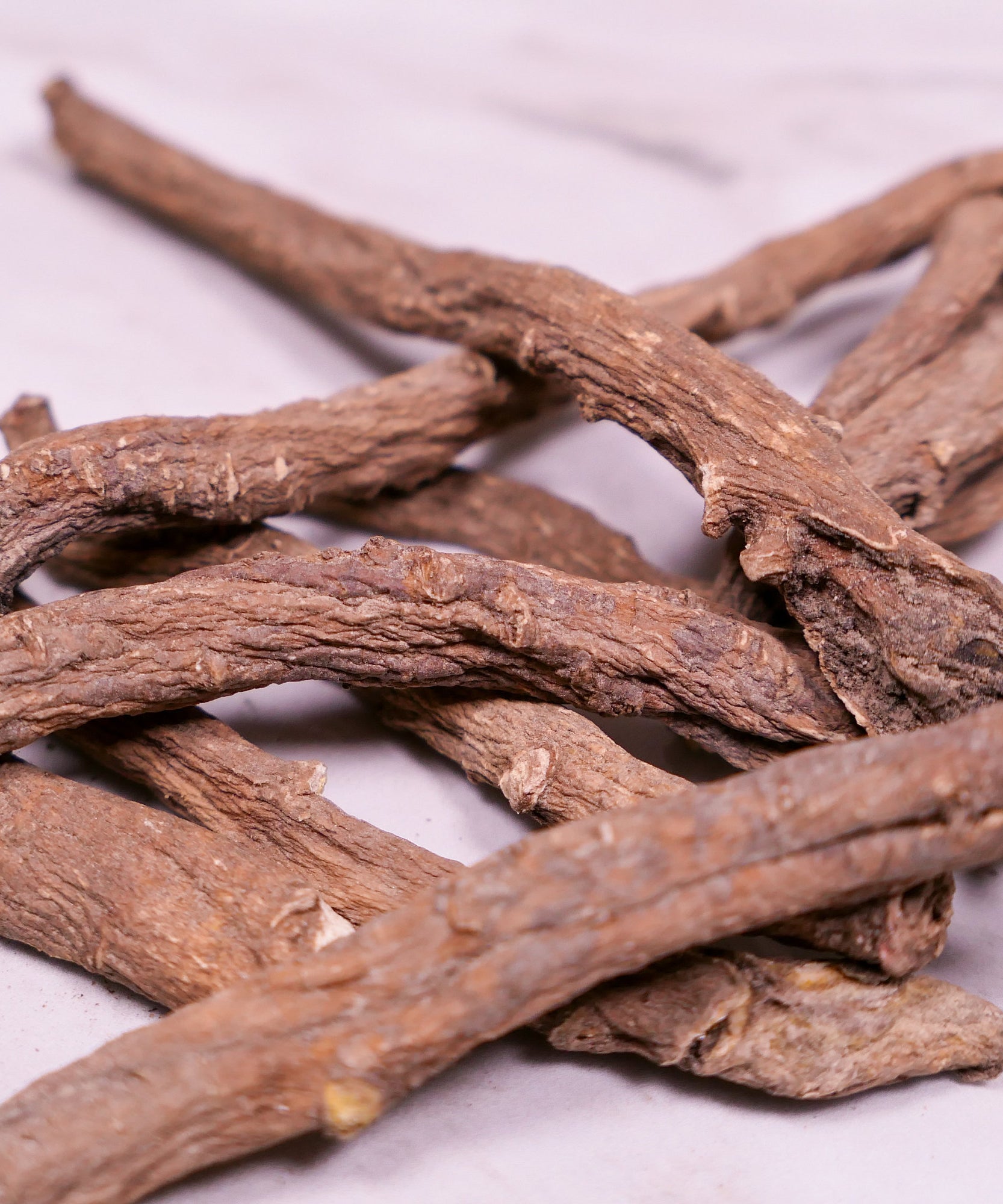 Forage - Dandelion Root