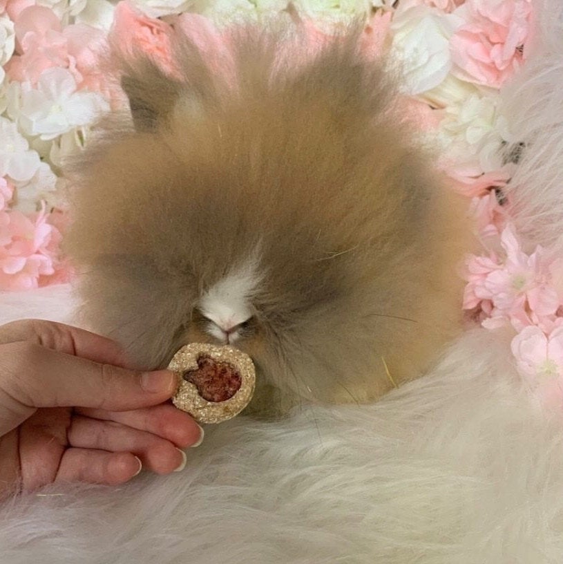 Jam Sandwich Cookies Treat Bag