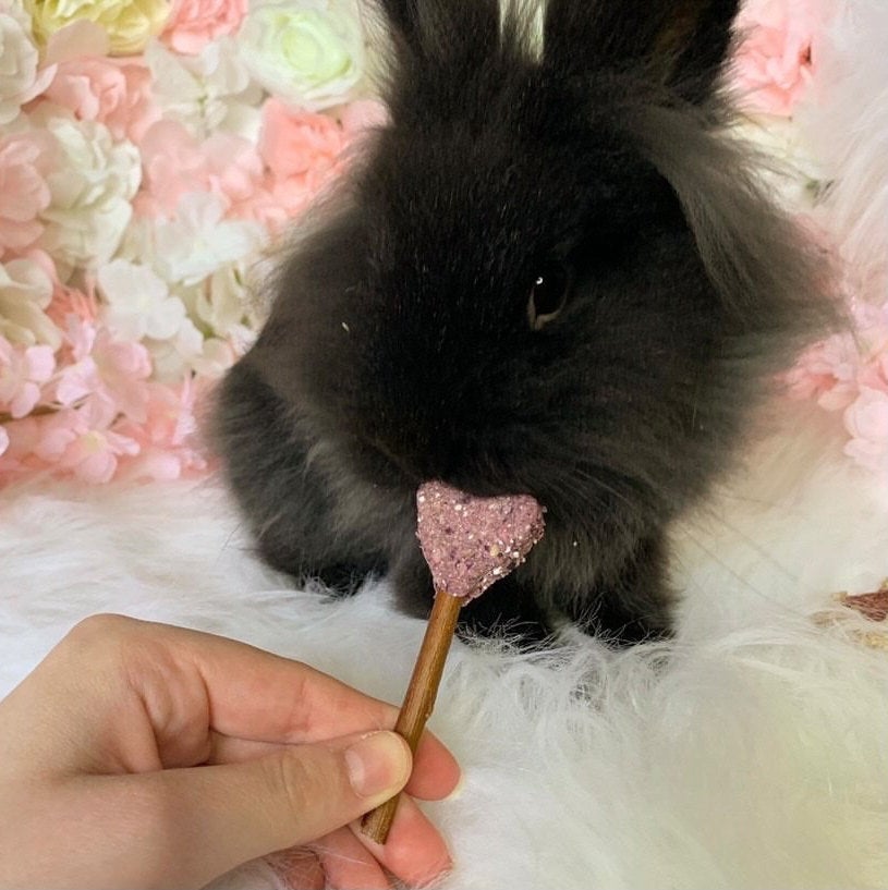 Heart Pops Treat Bag