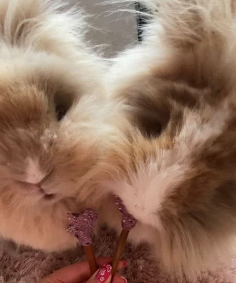 Heart Pops Treat Bag