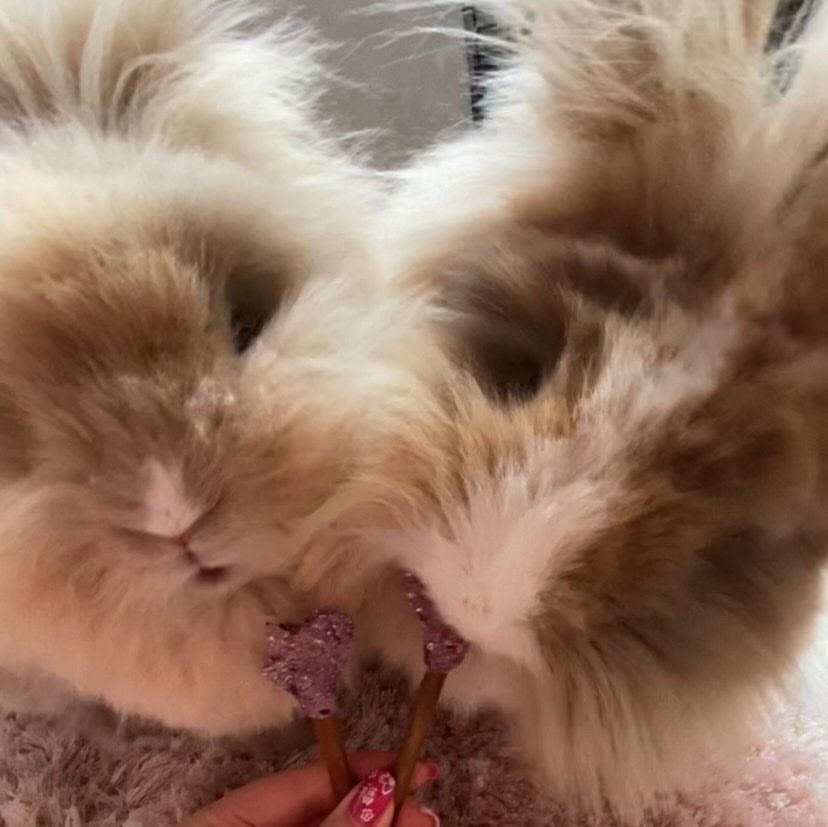 Heart Pops Treat Bag