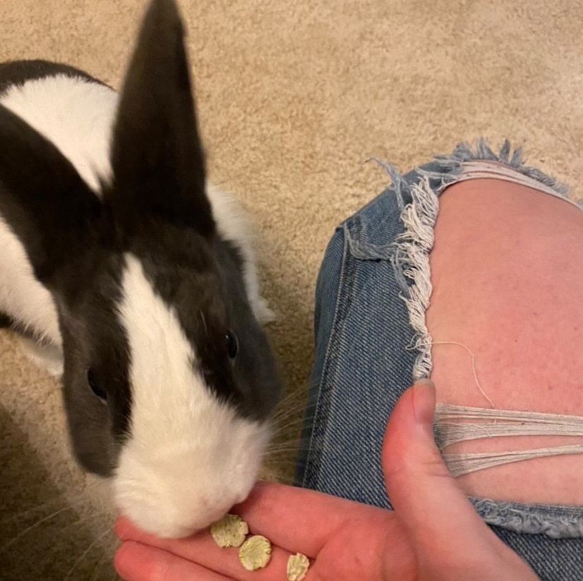 Pea flakes Treat bag