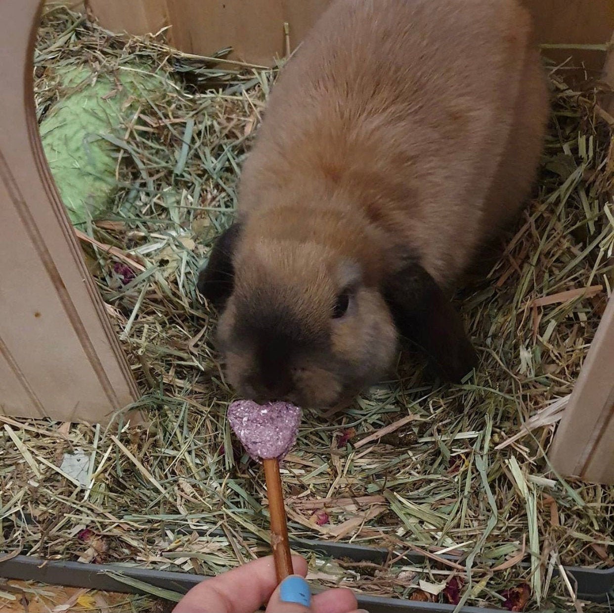 Heart Pops Treat Bag
