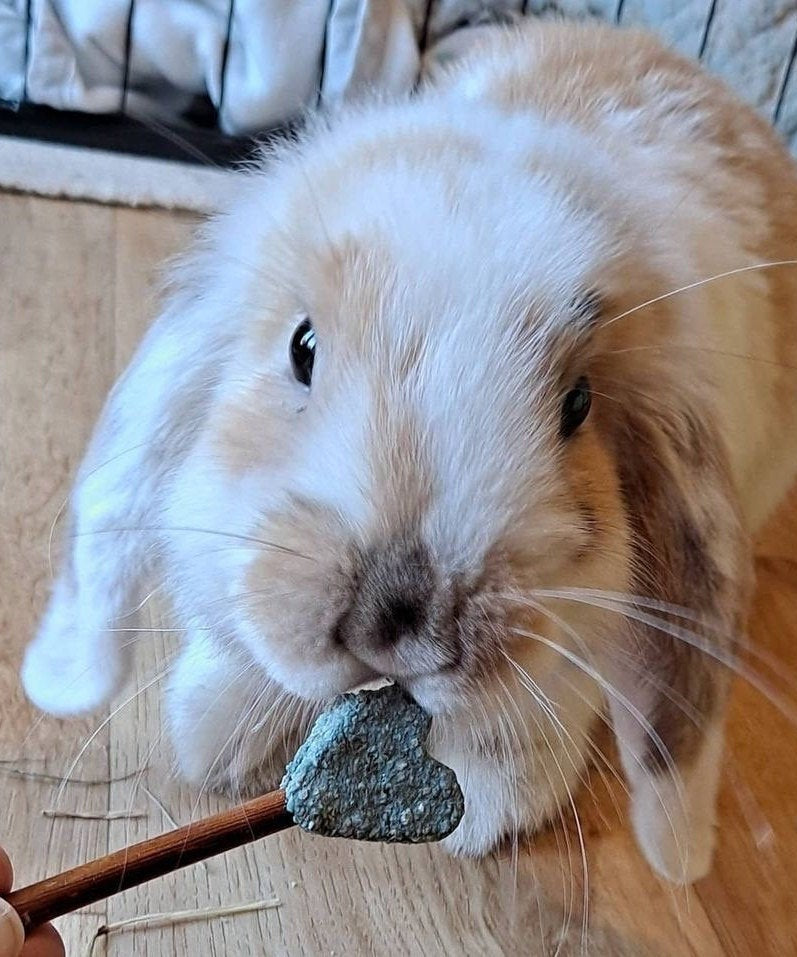 Blue Heart Pops Treat Bag