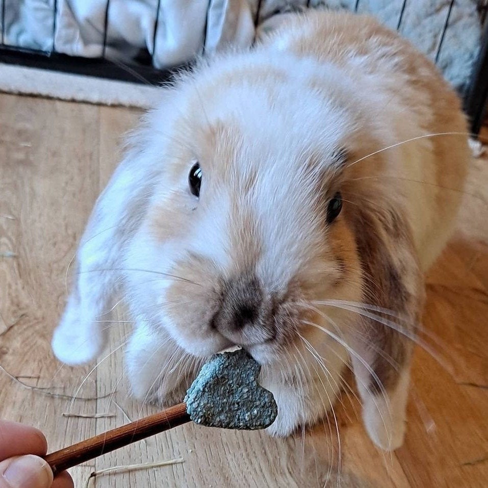 Blue Heart Pops Treat Bag