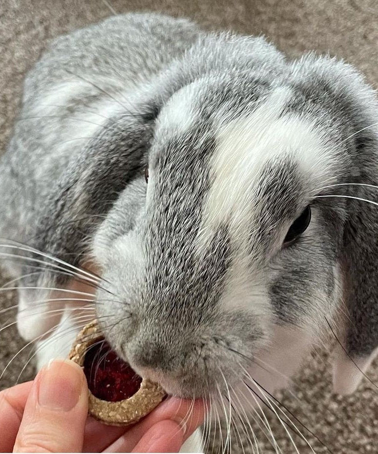 Jam Sandwich Cookies Treat Bag