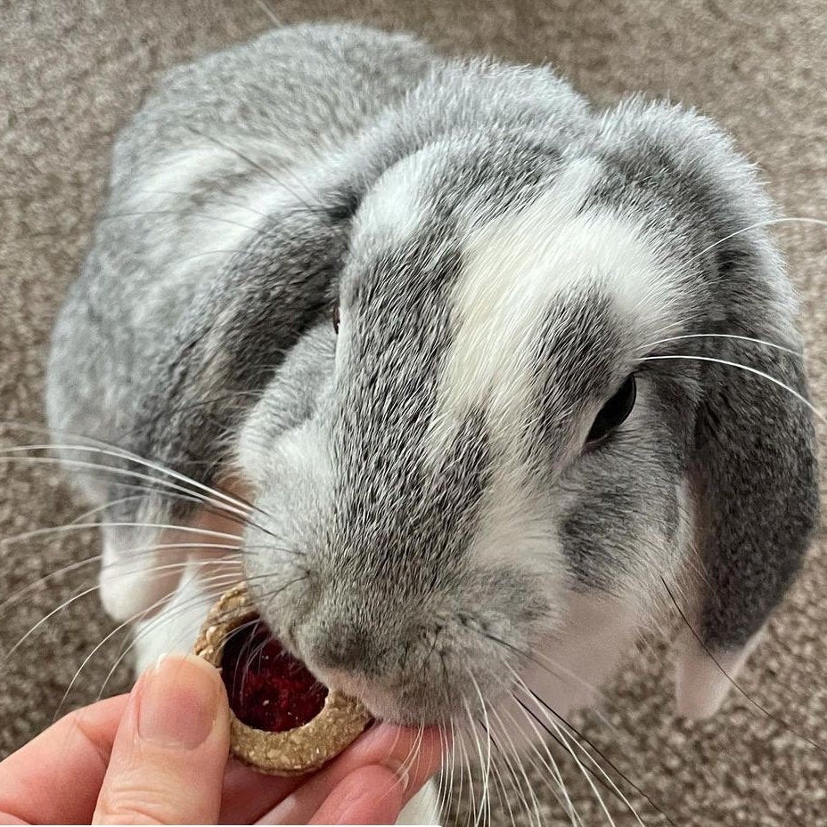 Jam Sandwich Cookies Treat Bag