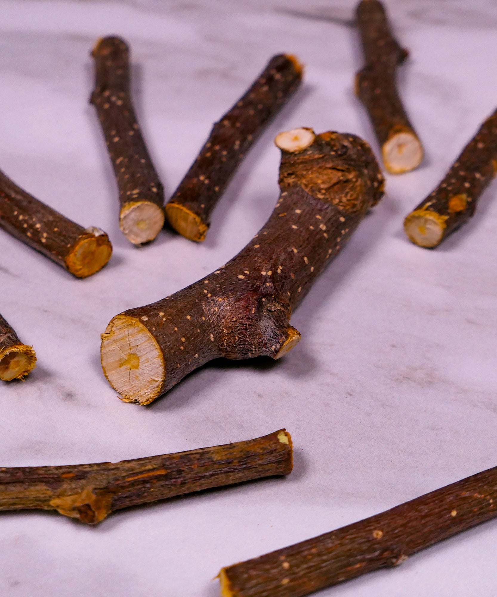 Forage - Apple Sticks