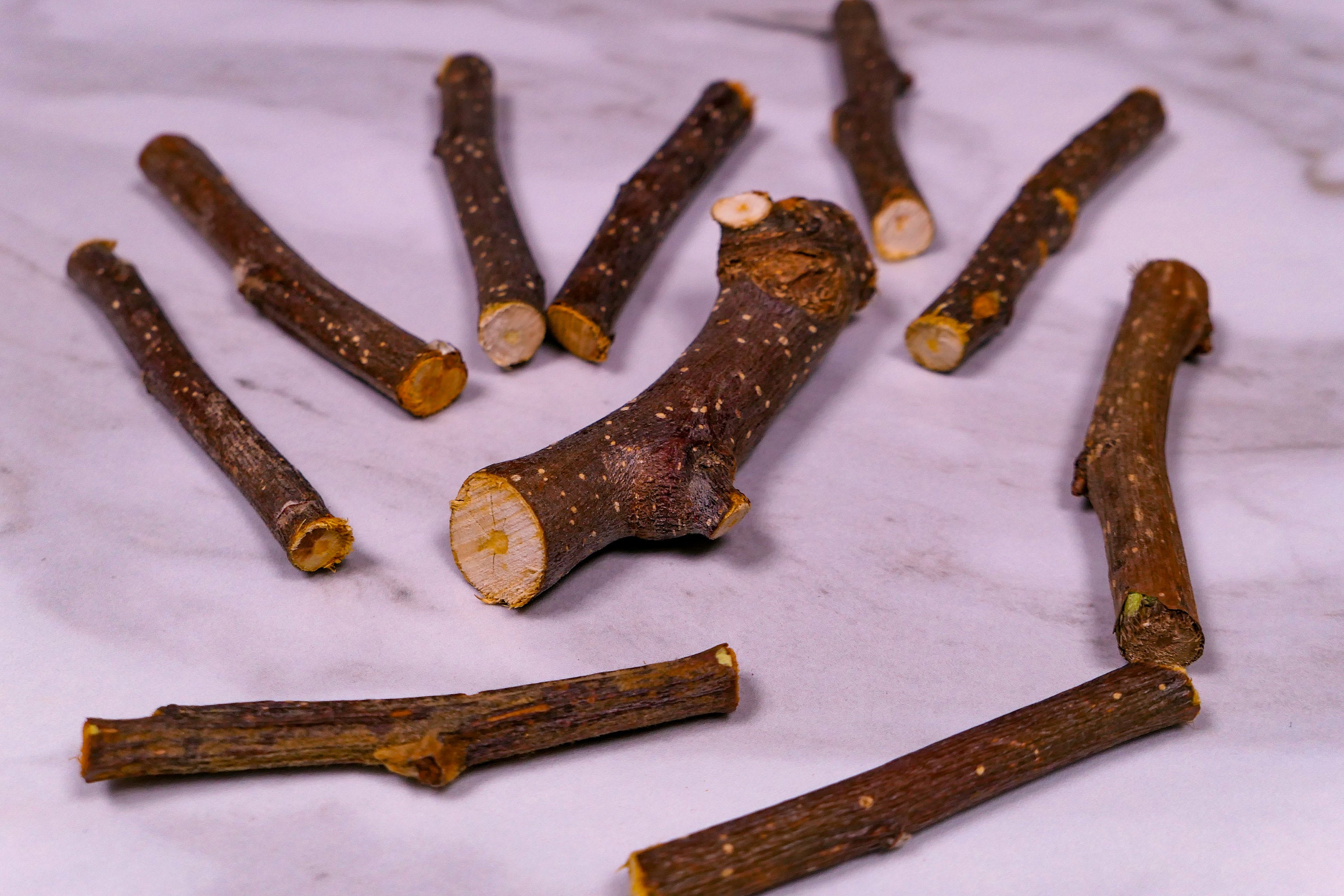 Forage - Apple Sticks