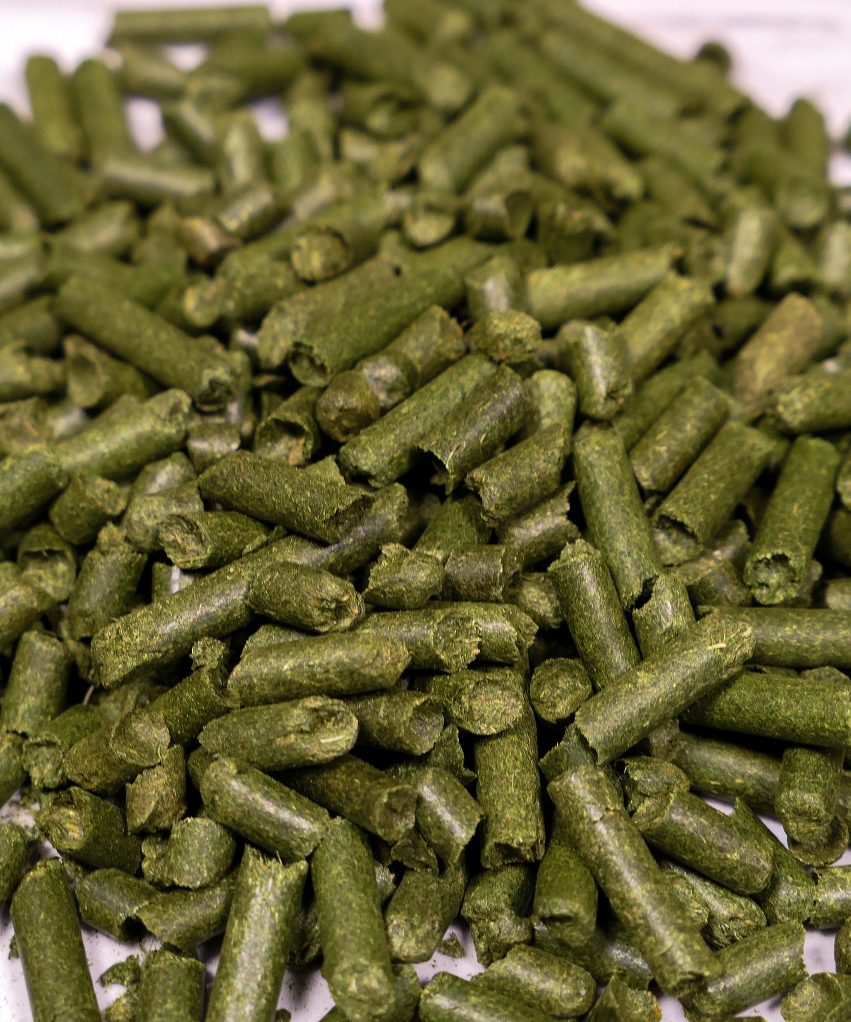 Hay Pellets 200g Forage Bag