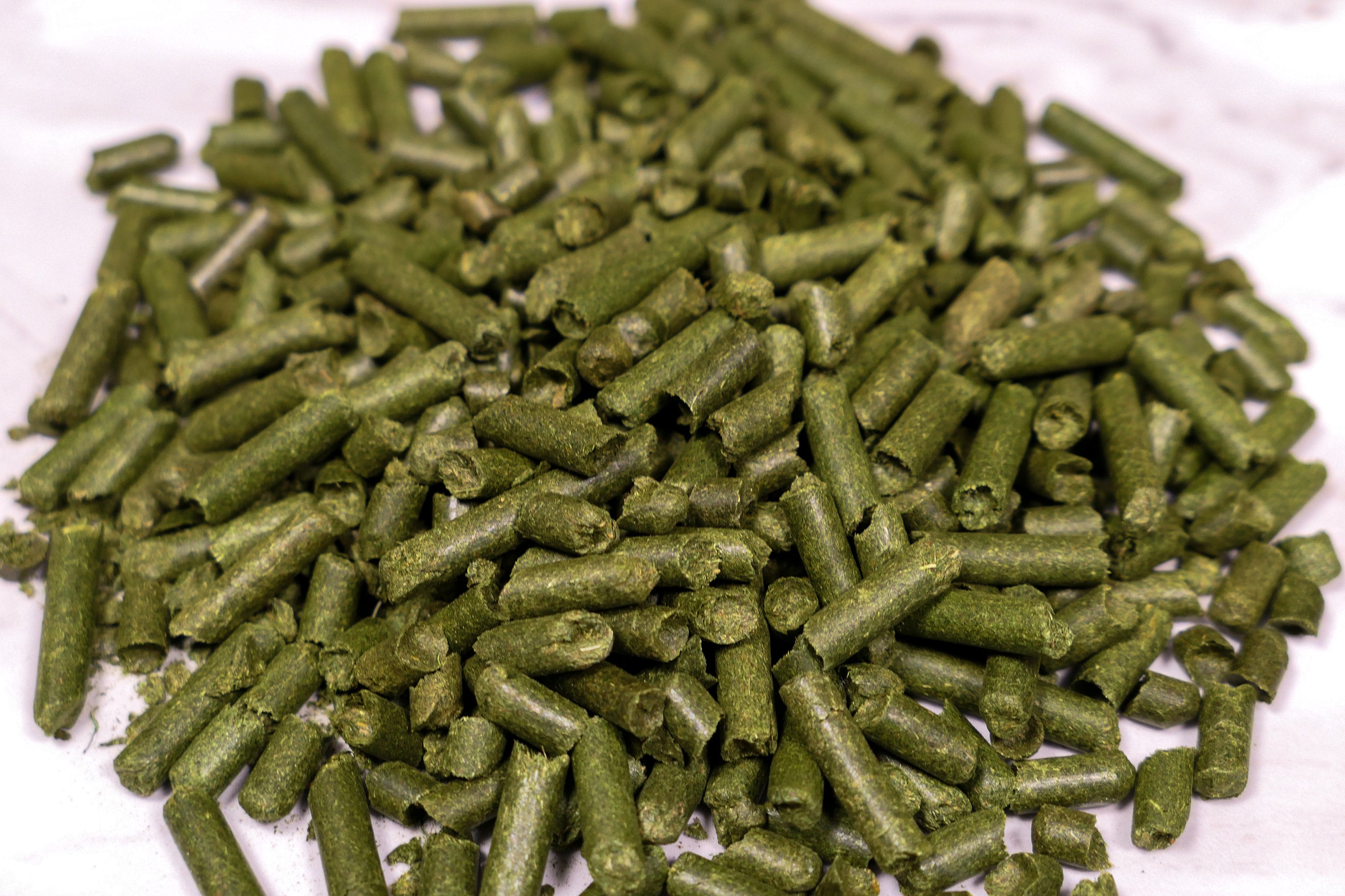 Hay Pellets 200g Forage Bag