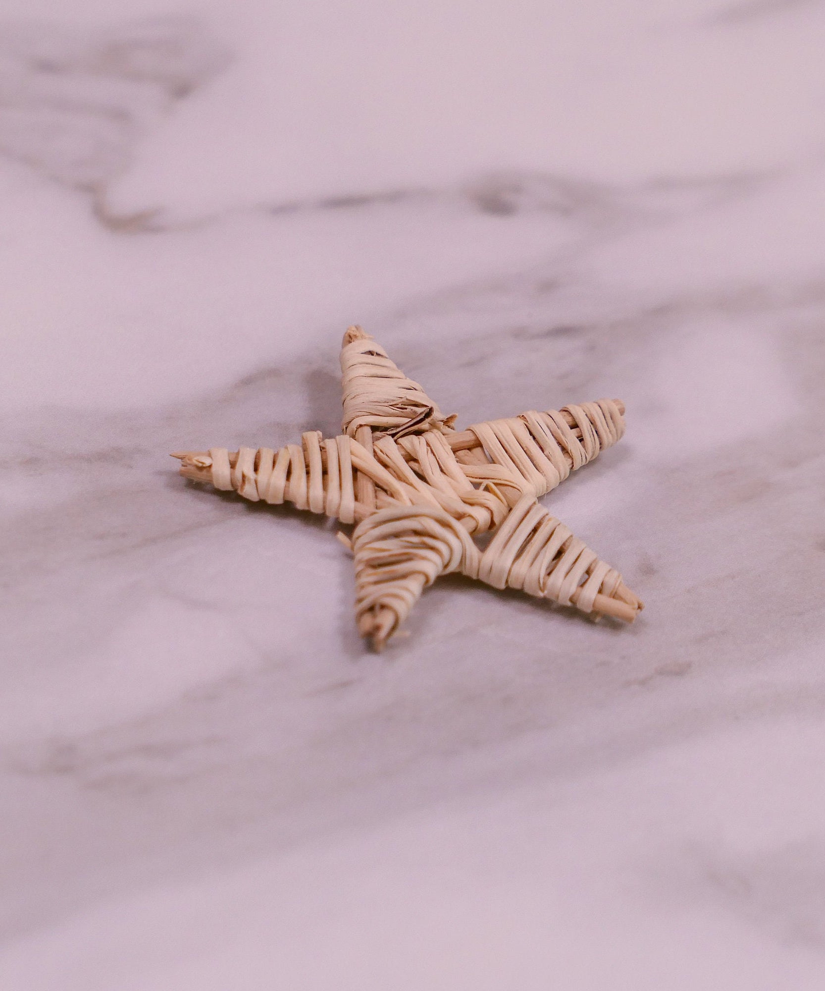 Mini Vine Star Chew Toy