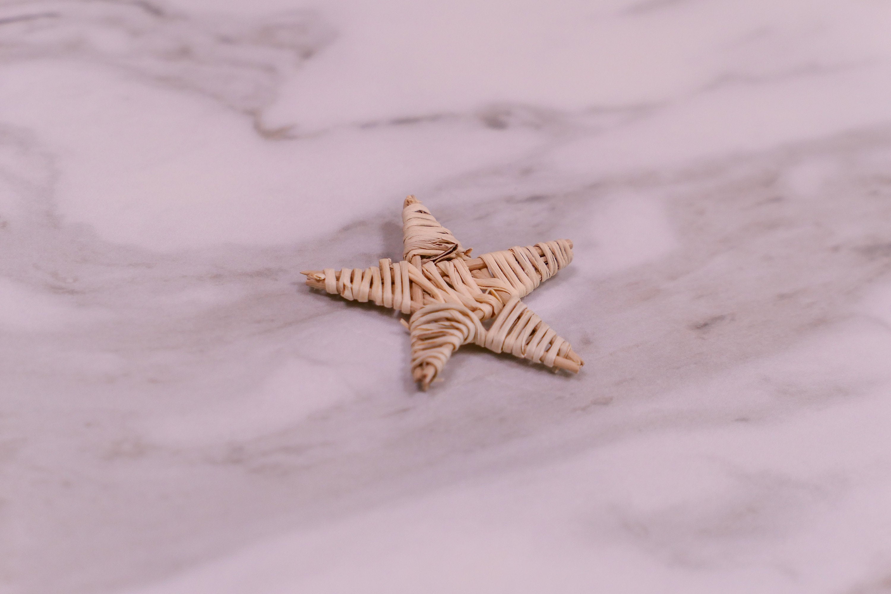 Mini Vine Star Chew Toy