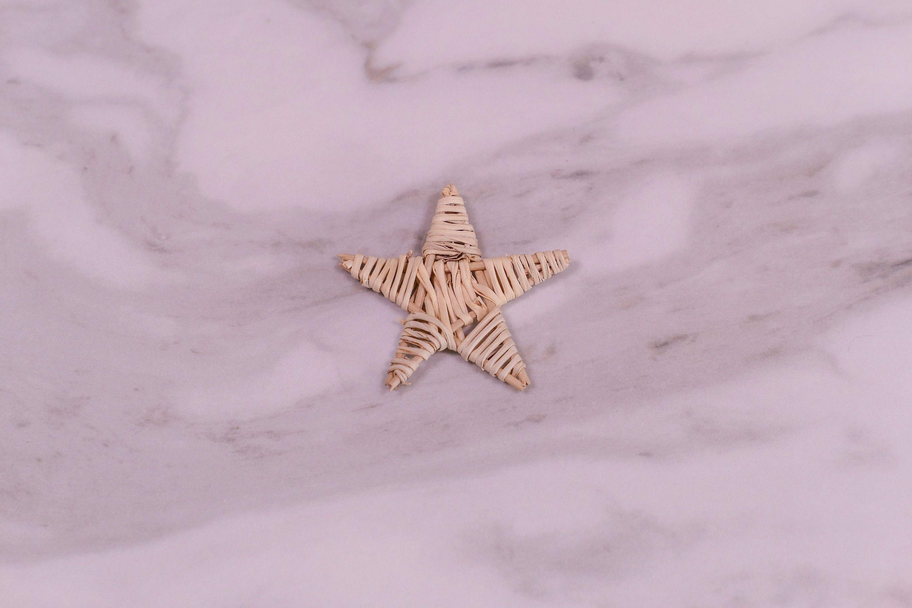 Mini Vine Star Chew Toy