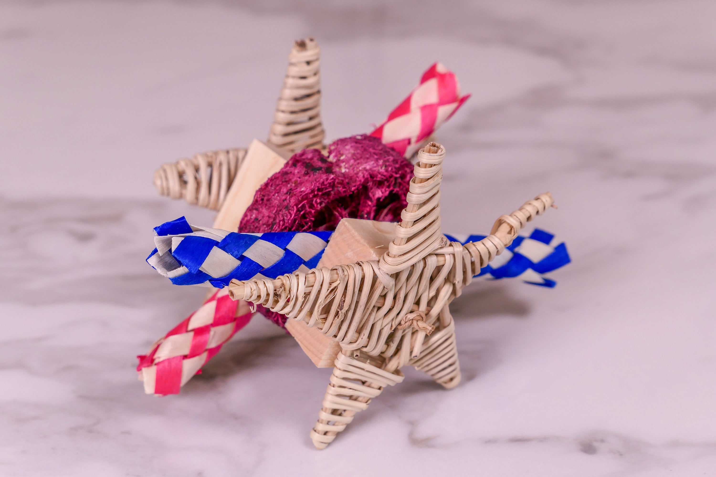 Star Loofah Trap Chew Toy