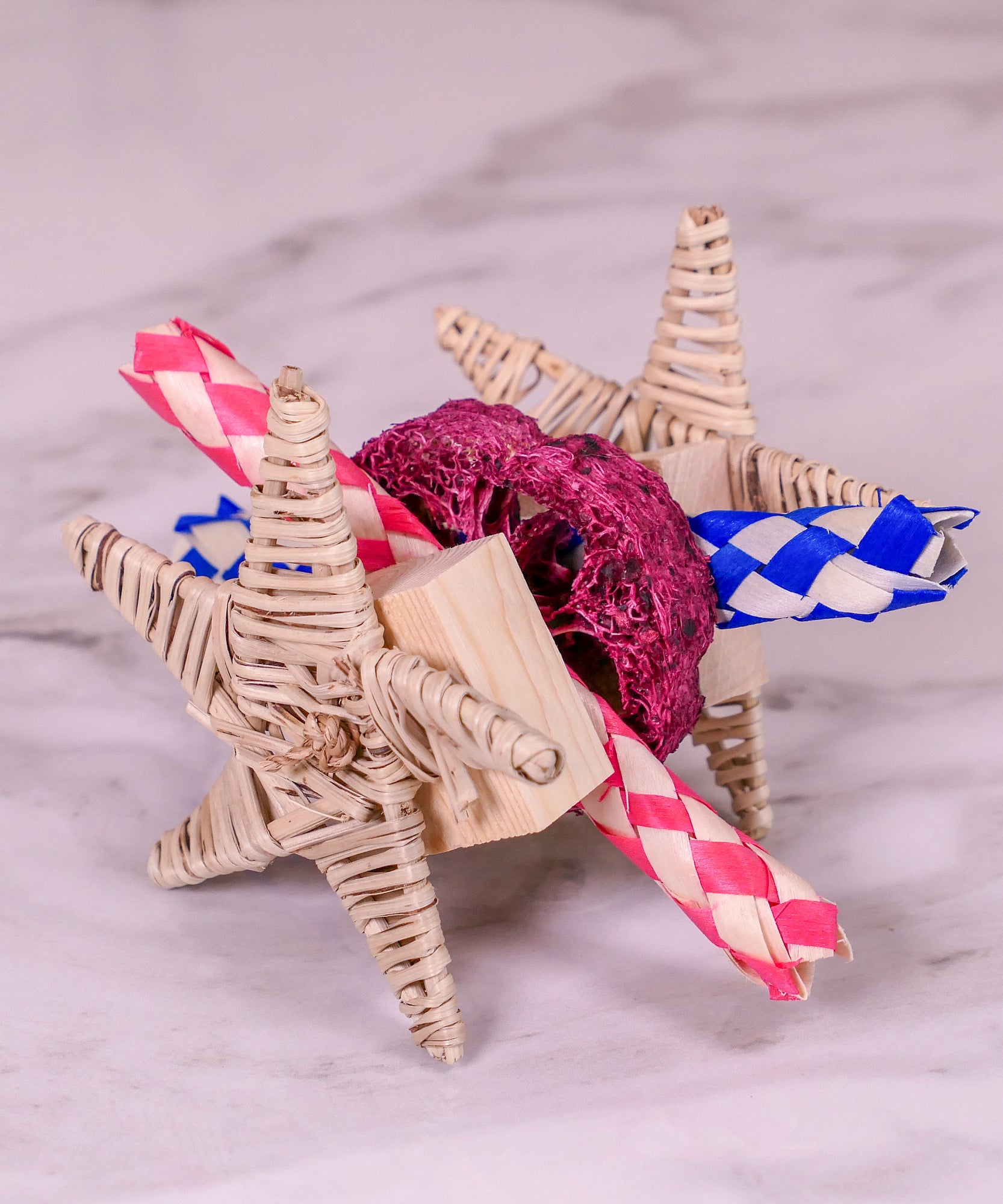 Star Loofah Trap Chew Toy