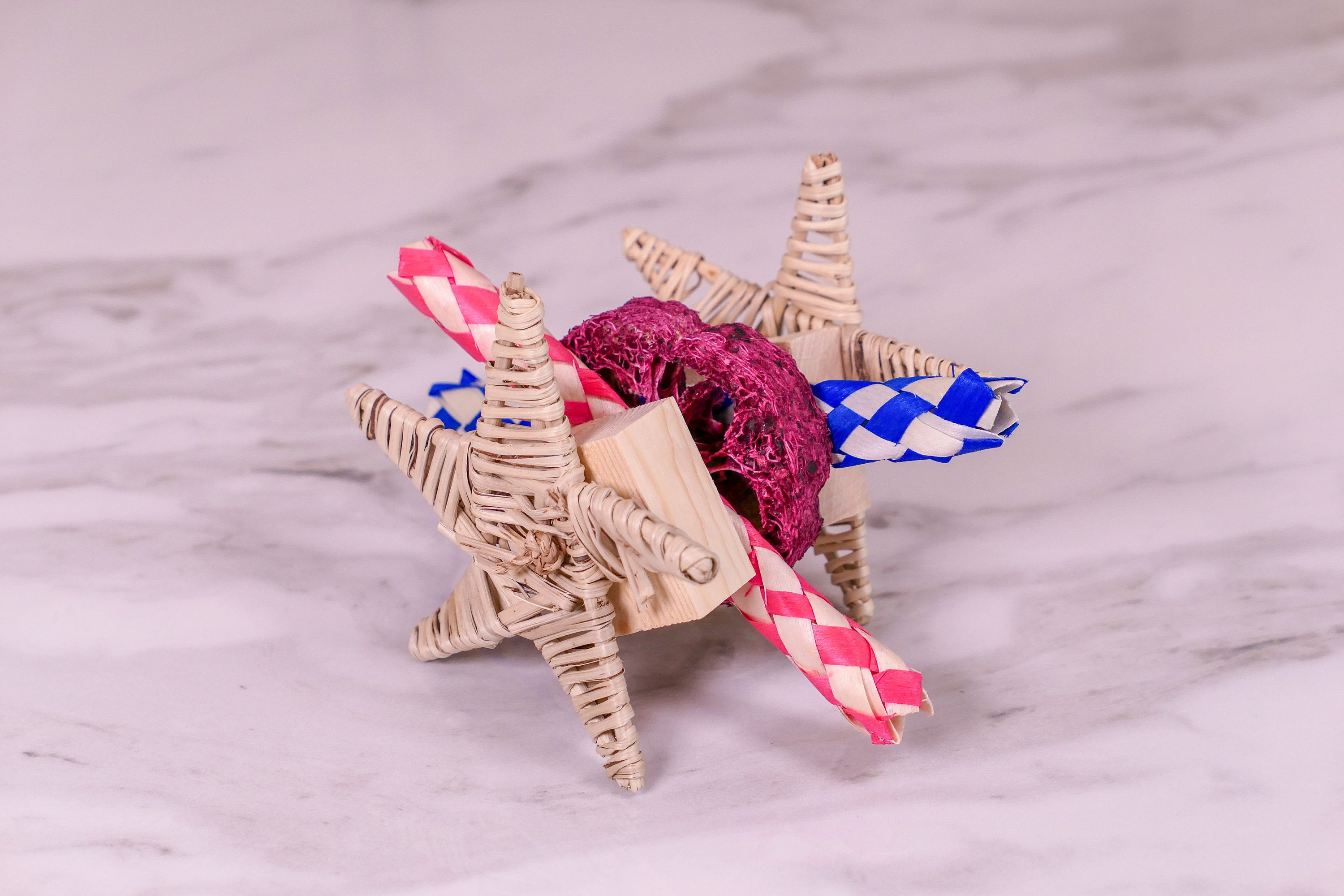 Star Loofah Trap Chew Toy